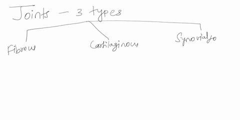 1-which-cartilaginous-joints-are-synarthroses-which-are-amphiarthroses-provide-examples-of-each2-how-does-the-structure-of-synovial-joints-classify-them-as-diarthroses3-which-types-of-joints-52064