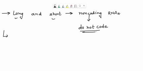 what-is-long-and-short-noncoding-rnas-what-is-their-role-in-gene-regulation-ans-what-are-the-main-differences-between-micro-mini-and-macro-satellites-what-are-vntrs-89774