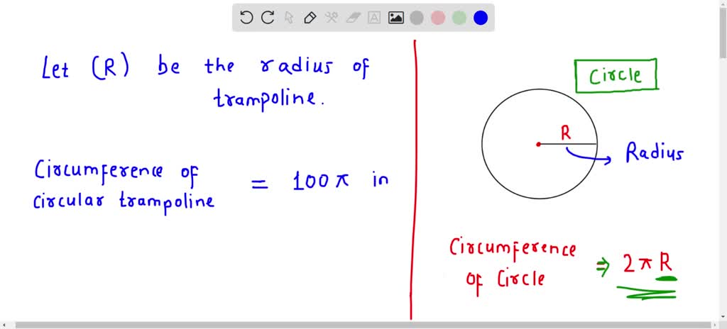 SOLVED: The circumference of a circular trampoline is 100Ï€ in. What is ...