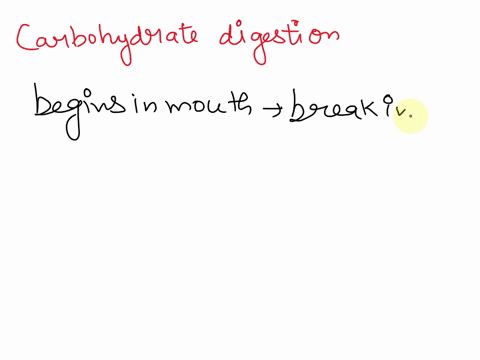 the-major-products-of-carbohydrate-digestion-ard-taking-placel-hint-think-were-digestion-monosaccharides-monosaccharides-disaccharides-acetyl-coa-pyruvic-acid-99505