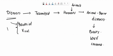 barney-was-giving-a-speech-on-animal-borne-diseases-when-discussing-each-disease-his-slides-contained-a-definition-symptoms-risks-treatment-and-ways-to-prevent-the-disease-was-this-an-effect-99712