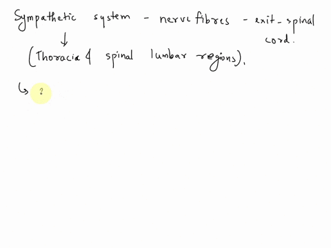 question-the-sympathetic-system-thoraco-lumbar-nerve-fibers-exit-the-spinal-cord-by-way-of-spinal-nerves-a-c1-c8-bt1-l2-cs1-s4-d-l1-l5-83497