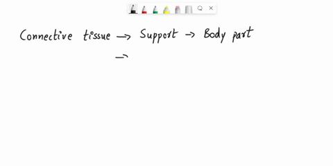 which-of-the-following-is-not-a-type-of-connective-tissue-a-bone-b-blood-c-the-spinal-cord-d-tendons-66334