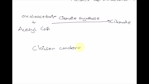 how-does-the-regulation-of-citrate-synthase-control-the-rate-of-cellular-respiration-in-pig-heart-tissue-a-citrate-synthase-controls-tissue-uptake-of-molecular-oxygen-the-terminal-electron-a-64755