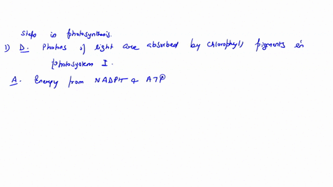 arrange-the-steps-involved-in-photosynthesis-in-the-correct-order-assume-non-cyclic-electron-flow-energy-from-nadph-and-atp-are-used-to-generate-high-energy-organic-molecules-3-molecules-of-79206