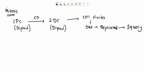 which-process-can-occur-in-both-mitosis-and-meiosis-82949
