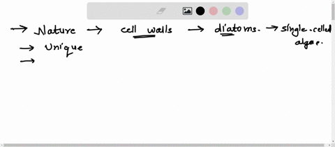 what-is-the-nature-of-cell-walls-in-diatoms-ncert-solutions-for-class-11th-biology-chapter-2-exercise-3-15885