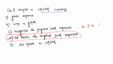 what-is-the-function-of-the-cas9-enzyme-in-crispr-technology-a-it-serves-as-a-guide-sequence-b-it-is-the-same-as-grna-c-it-recognizes-the-targeted-dna-sequence-d-it-cuts-down-the-targeted-dn-66574
