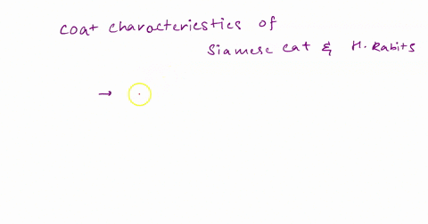 the-coat-characteristics-of-siamese-cats-and-himalayan-rabbits-differently-than-in-other-where-proteins-in-the-extremities-function-parts-of-the-body-is-an-example-of-incomplete-dominance-mu-75232