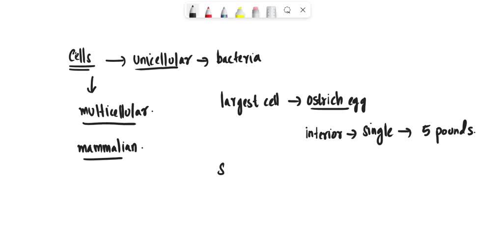 SOLVED What is the biggest cell ever recorded? What is the biggest