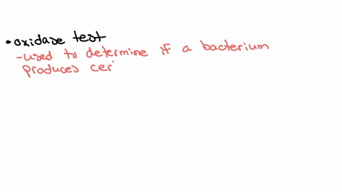 question-12-5-points-which-biochemical-test-can-be-performed-on-a-well-isolated-colony-and-can-provide-immediate-results-without-further-incubation-nitrate-reduction-citrate-test-oxidase-test-glucose