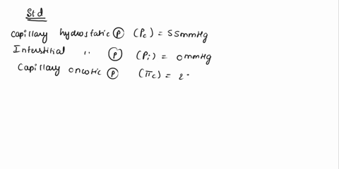 normal-net-filtration-pressure55-1530-55-4510mmhghow-will-the-net-filtration-pressure-change-for-a-person-suffering-from-a-liver-disease-you-are-expected-to-show-calculations-based-on-the-kn-11154