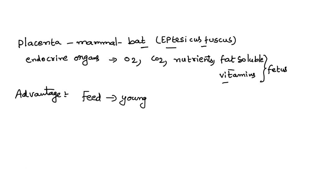 SOLVED: 1. Give an example of a eutherian, or a placental mammal