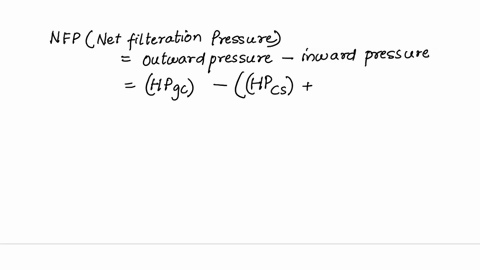 if-the-glomerular-capillary-pressure-is-40-mm-hg-the-capsular-hydrostatic-pressure-is-10-mm-hg-and-the-blood-colloid-osmotic-pressurewithin-the-glomerulus-is-30-mm-hg-the-filtration-pressure-45097