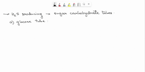 an-h2s-producing-see-organism-below-complete-was-the-inoculated-into-various-sugar-observations-and-the-full-sugar-fermentation-carbohydrate-tubes-interpretations-tubes-predict-he-color-of-t-7162