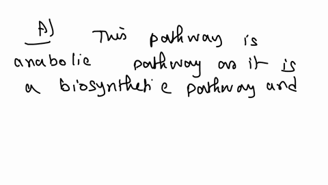 a-new-metabolic-pathway-35-points-a-new-metabolic-pathway-has-been-partially-characterized-known-features-of-the-pathway-are-shown-below-some-details-including-the-chemical-structures-of-int-71299