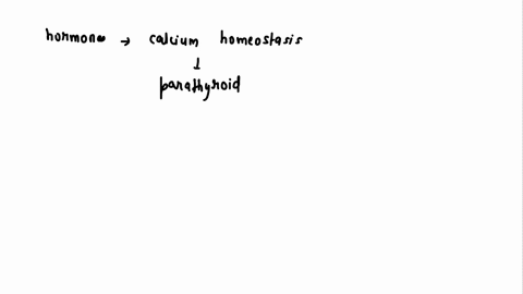 which-two-hormones-are-primarily-involved-in-calcium-homeostasis-where-does-each-come-from-and-what-effect-does-each-have-on-blood-calcium-concentrations-47023