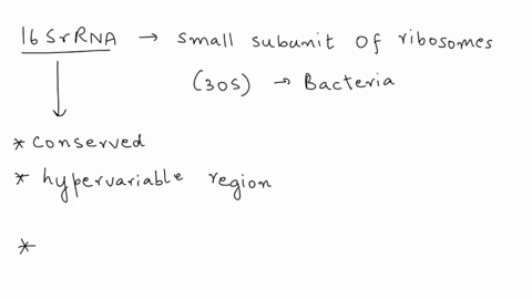 dna-sequences-can-also-be-used-for-phylogenetic-analysis-butthis-approach-relies-on-the-growth-and-cultivation-ofmicroorganisms-in-the-lab-and-knowledge-of-specific-gene-productsand-sequence-5302