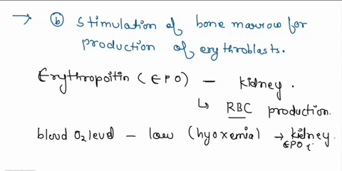 what-is-the-role-of-erythropoietin-in-the-physiological-response-related-to-decrease-amount-of-oxygen-in-atmosphere-a-stimulation-of-bone-marrow-for-production-of-platelets-b-stimulation-of-29365