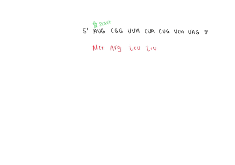 what-amino-acid-equence-would-result-from-translation-of-the-following-mrna-molecule-mrna-5-aug-cgg-uua-uug-cua-cug-uca-uag-polypeptide-use-the-letter-codes-with-paces-in-between-each-amino-63047