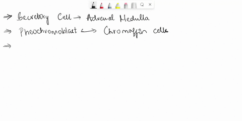 cytotoxic-t-cells-are-rapid-killers-of-virally-infected-cells-within-minutes-of-the-interaction-of-a-cytotoxic-t-cell-with-a-target-cell-the-program-of-apoptosis-in-the-target-cell-is-initia-83366