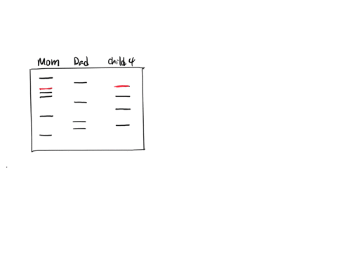 mom-dad-chin-1-chald-2-cad-3-cas-4-the-child-is-adopted-the-child-is-from-the-mothers-previous-marriage-the-child-is-from-the-fathers-previous-marriage-the-child-is-the-blological-child-of-these-paren