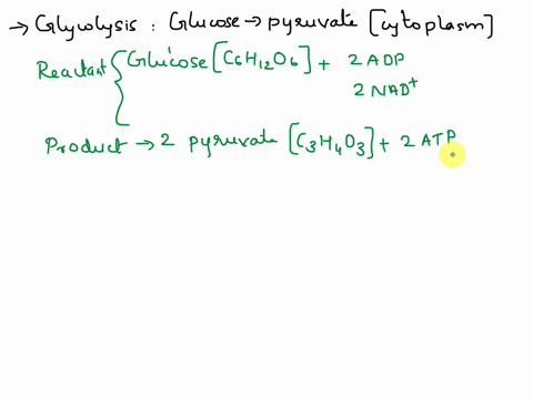 compare-the-reactants-products-and-energy-yield-of-the-three-stages-of-cellular-respiration-glycolysis-pyruvate-oxidation-and-the-citric-acid-cycle-electron-transport-chain-i-do-not-need-to-72722