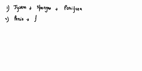 jysem-spicuies-choanocytes-choose-cnidaria-echinodermata-porifera-annelida-chordata-arthropoda-nematoda-hemichordata-platyhelminthes-xenacoelomorpha-mollusca-acaelomate-penis-encing-notochor-41825