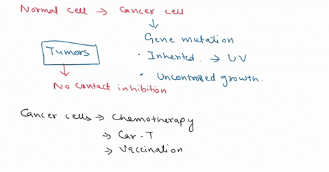 how-does-a-normal-cell-become-a-cancerous-cell-what-has-to-happen-to-it-do-mutations-that-cause-cancer-in-an-individual-pass-down-to-hisher-offspring-what-is-the-role-of-proto-oncogenes-and-47325