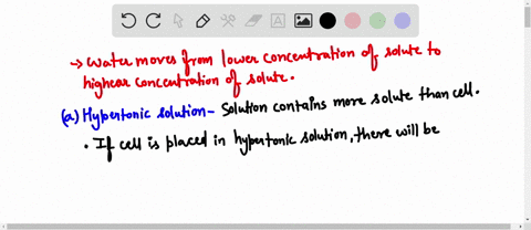 describe-the-movement-of-water-if-cells-are-in-a-hypertonic-solution-hypotonic-solution-and-isotonic-solution-why-75097