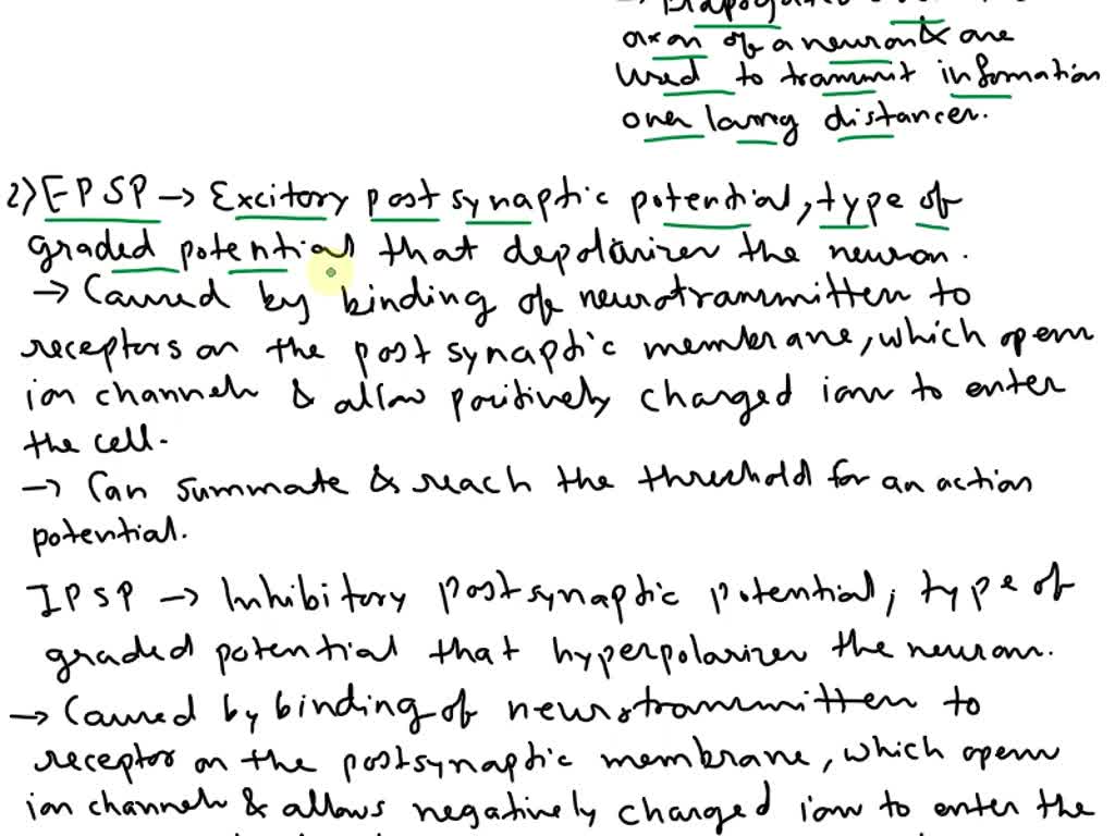 SOLVED: describe how a graded potential is formed including whete in ...