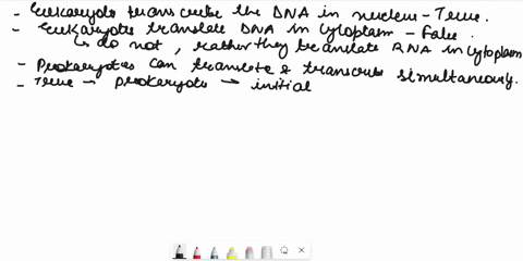 the-following-statements-relate-to-transcription-andor-translation-which-of-them-are-false-mark-all-possible-correct-answers-note-transcribe-means-undergoes-transcription-eukaryotes-transcri-30415