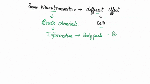 why-the-same-neurotransmitter-can-have-different-effects-on-different-cells-91206