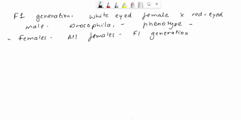 q1-in-drosophila-fruit-flies-eye-color-is-x-linked-with-wild-type-red-eyes-dominant-to-mutant-white-eyes-the-flies-that-we-have-in-lab-are-the-f1-generation-from-a-white-eyed-female-x-red-ey-99871