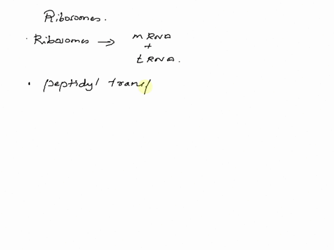 question-2-what-is-the-function-of-the-ribosome-polypeptide-synthesis-ribosomes-hold-the-mrna-and-trnas-together-ribosomes-catalyze-the-addition-of-amino-acids-from-trnas-to-the-growing-poly-15027