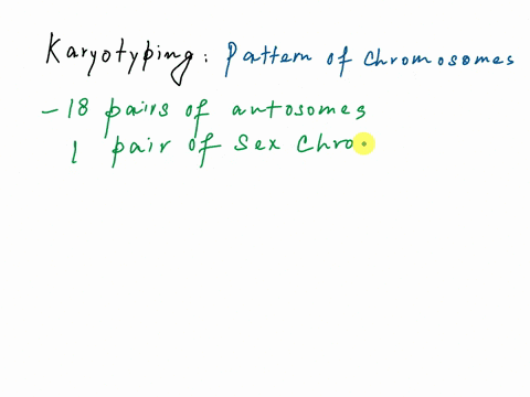 ooking-at-the-following-karyotype-identify-ifthis-individual-s-phenotype-1-jj-5-k-3-k-y-0-female-wth-turner-syndrome-malewith-rochromcsomal-abnormalities-0-female-with-no-chromosomal-aororma-82565