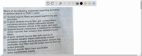 which-of-the-following-statements-regarding-activation-of-skeletal-muscle-is-true-point-skeletal-muscle-fibers-are-joined-together-by-gap-junctions-given-skeletal-muscle-fiber-will-contract-31752