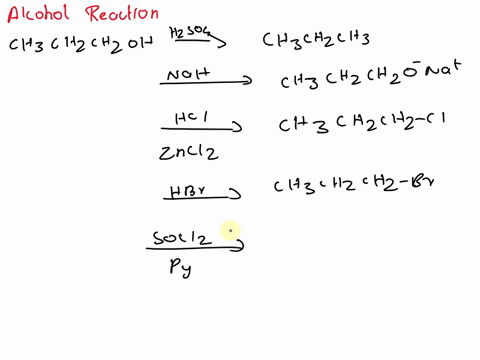 draw-the-organic-products-formed-when-ch3ch2ch2oh-is-treated-with-each-reagent-ah2so4-bnah-chcl-zncl2-dhbr-esocl2-pyridine-fpbr3-gtscl-pyridine-h-1-nah-2-ch3ch2br-1-itscl-pyridine-2-nash-jpo-17842