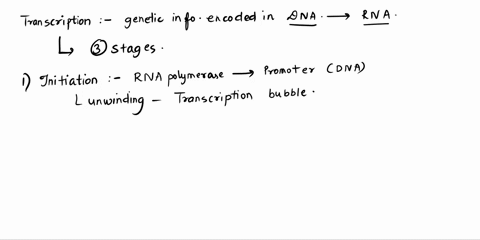 stages-of-transcription-in-detail-for-each-step-what-components-are-required-modifications-of-rna-on-the-ends-of-mrna-on-the-interior-of-mrna-why-are-these-modifications-important-ways-to-cu-11074