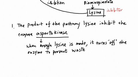 lysine-is-one-of-the-few-essential-amino-acids-that-cannot-be-synthesized-by-animals-and-thus-must-be-provided-in-the-diet-every-vear-tons-of-lysine-are-produced-by-microbial-fermentation-us-36754