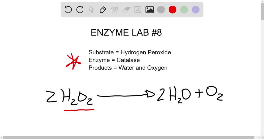 SOLVED In the enzyme lab (8), identify the substrate, enzyme, and end
