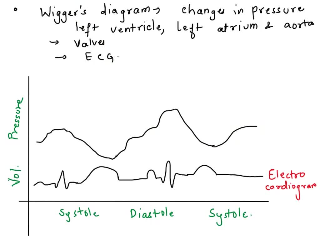 SOLVED Texts A. The ventricular ejection phase of systole will occur
