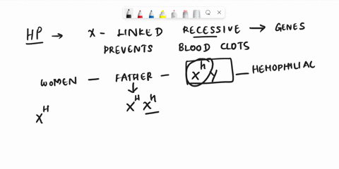 hemophilia-the-inability-of-blood-to-clot-is-caused-by-a-sex-linked-recessive-gene-if-a-woman-whose-father-was-a-hemophiliac-marries-a-man-whose-blood-clots-normally-a-what-percentage-of-the-57635