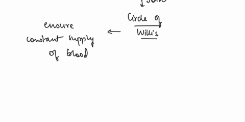 brain35-investigate-the-blood-supply-to-the-brain-and-the-concept-of-the-blood-brain-barrier-and-the-effect-of-compromise-36-identify-the-three-layers-of-the-meninges-and-their-extensions-th-58111