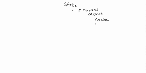 a-patient-suffers-a-stroke-that-causes-damage-to-the-subdivision-of-the-medial-dorsal-nucleus-of-the-thalamus-mdpc-that-reciprocally-connects-with-the-dorsolateral-prefrontal-cortex-dlpfc-de-45024