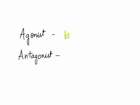 an-antagonist-muscle-for-flexion-of-the-elbow-is-the-_____-muscle-61764
