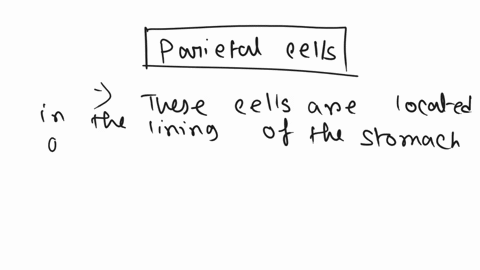which-cells-within-gastric-glands-release-hydrochloric-acid-and-cause-gastric-juice-to-become-acidic-chief-cells-parietal-cells-enteroendocrine-cells-07527