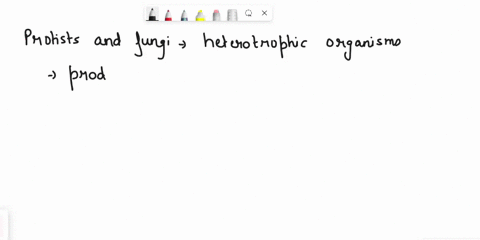 some-species-of-cyanobacteria-form-symbiotic-relationships-with-other-organisms-what-benefit-might-a-97045