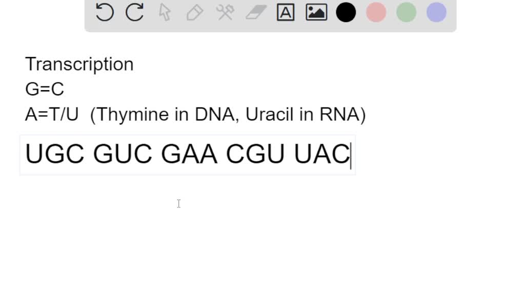 SOLVED Now it is your turn to be RNA polymerase Transcribe the