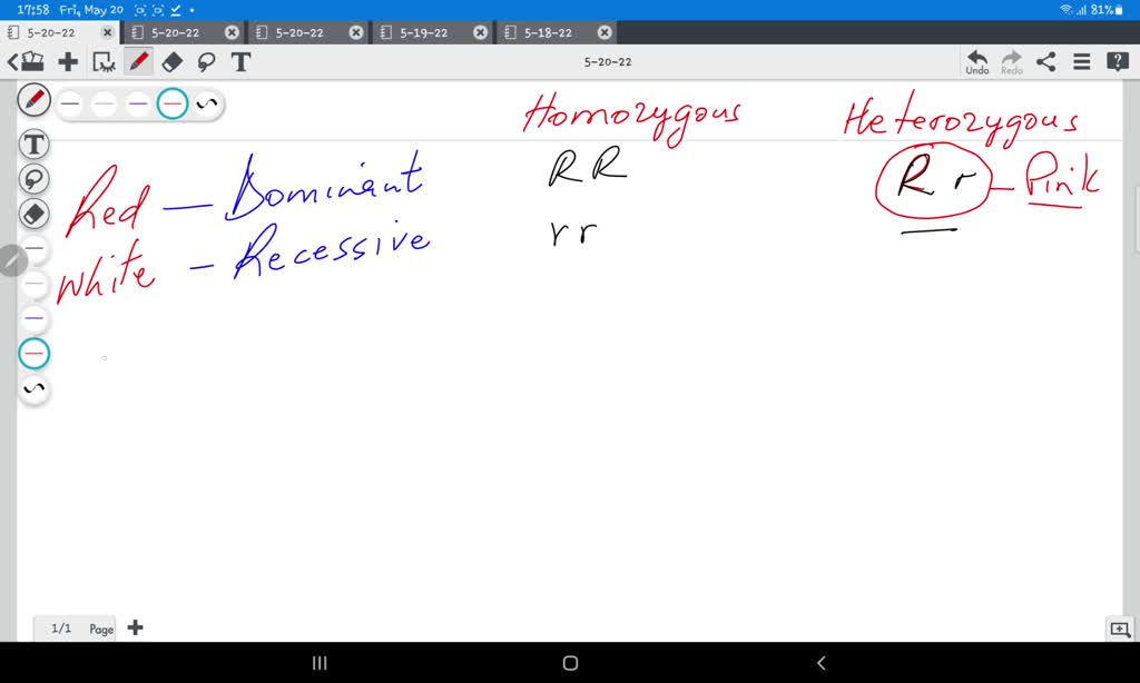 SOLVED What is the genotype of a Heterozygous four o"clock flower? i
